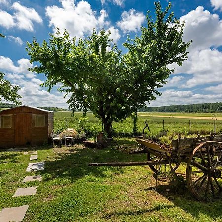 Germigny-l'Eveque Domaine Du Bois Des Anges B&B 외부 사진