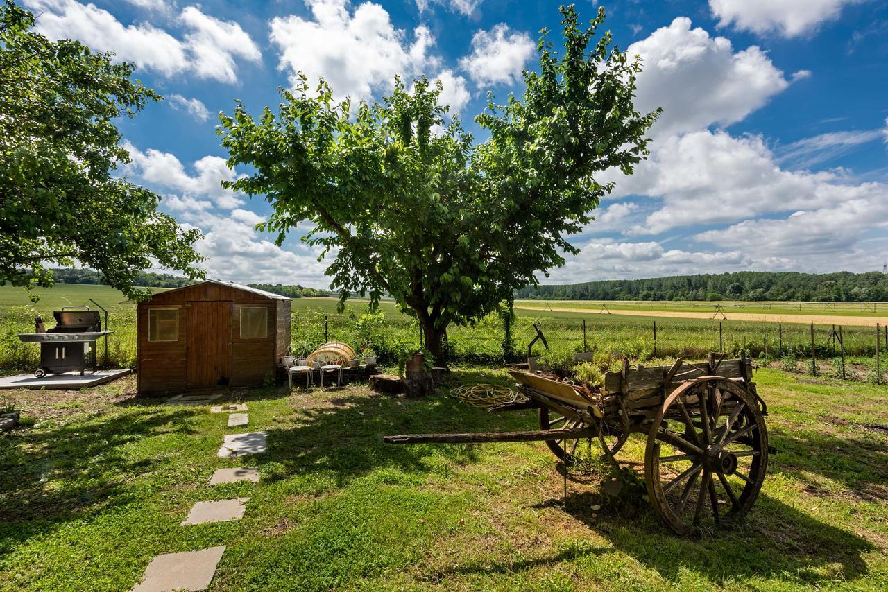 Germigny-l'Eveque Domaine Du Bois Des Anges B&B 외부 사진